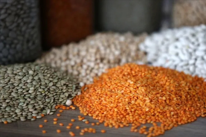 Güneydoğu'dan 3,2 milyar dolarlık hububat ihracatı