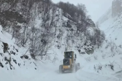 Artvin'de çığ düştü!