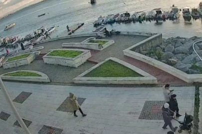 Balık tutarken vicdanını kaybetti: Sokak kedisini...