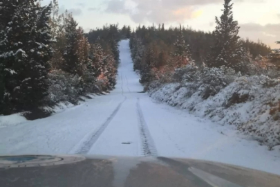 Bursa'da ormanlara kış kalkanı! Ekipler 7/24 sahada...