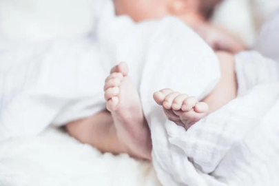 Akraba evliliklerindeki genetik tehlike: Uzmanlar değerlendirdi