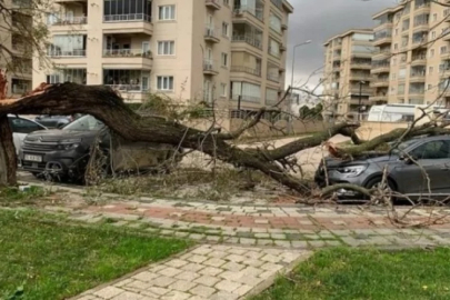 Bursa'da camlar ıslık çalmaya başladı! Son yılların en güçlüsü...