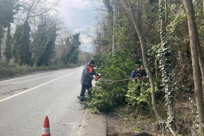 Dışarı çıkacaklar dikkat! İstanbullulara lodos uyarısı: Kuvvetli fırtına etkili olacak