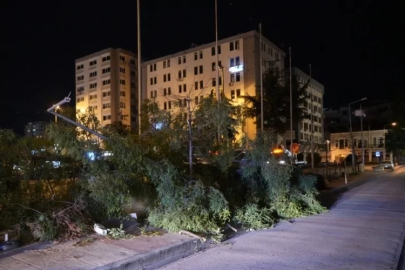 Samsun'da fırtına çatıları uçurdu, ağaçları devirdi