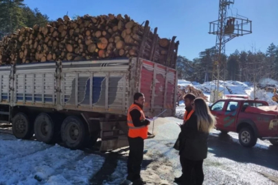 Bursa'da orman kaçakçılığına geçit yok! Çok sayıda noktada eş zamanlı denetim