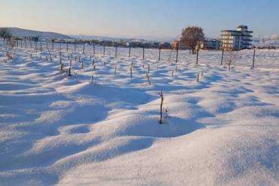 Kar yağışı çiftçiye umut oldu