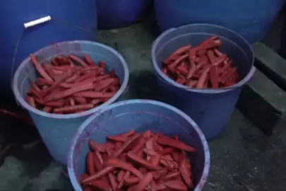 Ruhsatsız üretim yapan imalathane mühürlendi! Görüntüler mide bulandırdı...