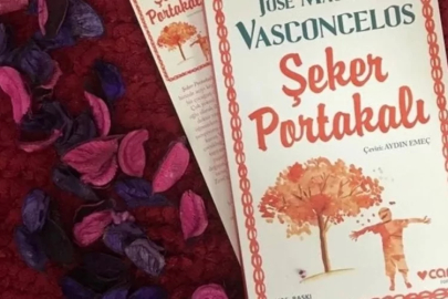 Başlık krizi mahkemeye taşındı: Yargıtay'dan 'Şeker Portakalı' kararı