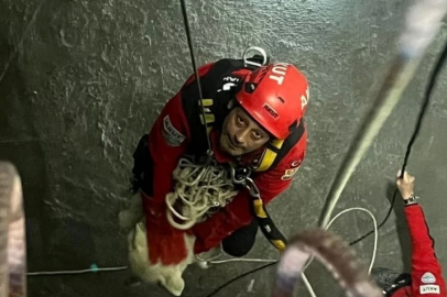 Trabzon'da 7 metrelik çukura düşen köpeği AKUT ekipleri kurtardı