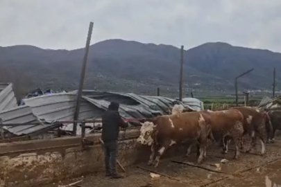 Bursa'da dam paramparça oldu! Hayvanlar açıkta kaldı