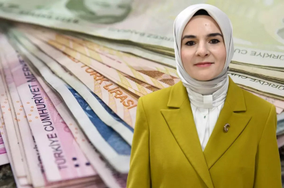 Üç kesime dağıtılacak! Bakanlık, 132 bin kişi için 5,1 milyarlık kaynak ayırdı