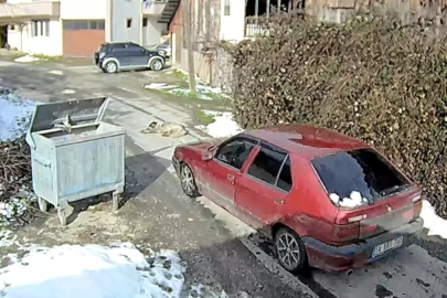 Yolda yatarken otomobilin ezdiği köpeğin, daha önce tüfekle de vurulduğu ortaya çıktı