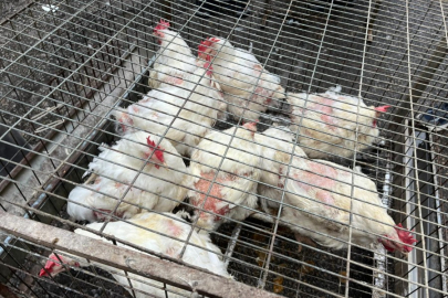 Bursa Kuş Pazarı esnafı yıllardır çözüm bekliyor!