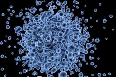 Genital mantar vakaları artıyor!