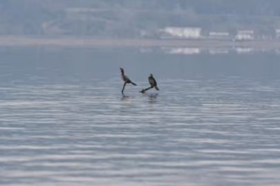 Sapanca Gölü'nde su seviyesi yüzleri güldürmeye başladı