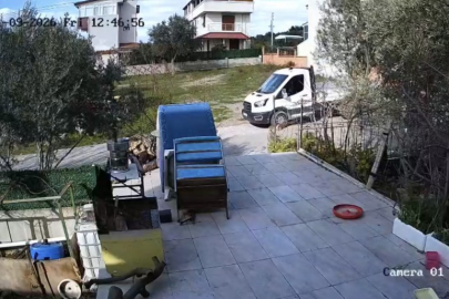 Yerde yatan köpeği ezip yoluna devam etti!