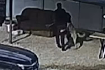 Beslediği köpeğinin saldırısına uğradı! Komşusu son anda imdadına yetişti...