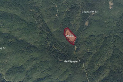 Bursa'da belediye ormanın tam ortasındaki dev tarlayı satıyor!