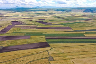 2B arazilerinde yeni düzenleme: Başvuruyu kaçıranlara tapu için son şans