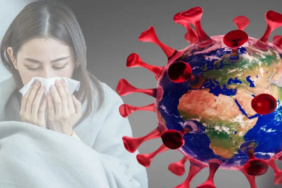 Bu virüslerden biri dünyayı pandeminin eşiğine getirebilir