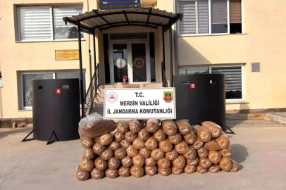 Mersin'de 335 kilo kaçak tütün ele geçirildi