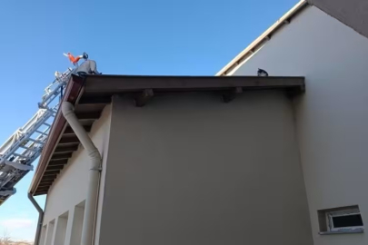 Binanın çatısında mahsur kalan kediyi itfaiye ekibi kurtardı