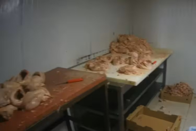 Parçalama tesisinde suçüstü! Görüntüler mide bulandırdı