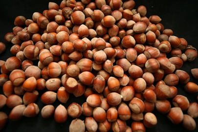 Fındıkta sert geri çekilme: 350 lirayı gören fiyat 275 liraya sabitlendi