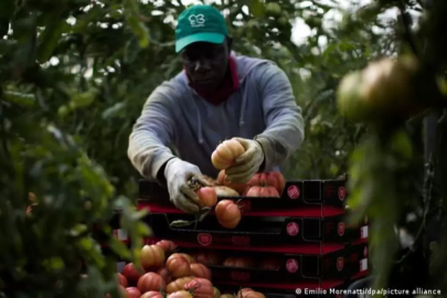İspanya 500 bin belgesiz göçmene oturma izni veriyor