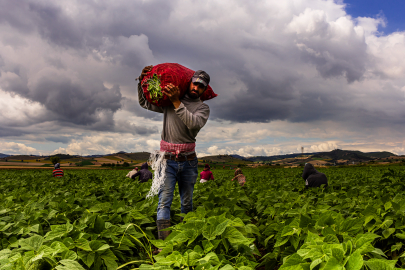 Yenişehir tarımında dijital devrim:  Başkan Ercan Özel’den çiftçiye 464 bin Euro'luk müjde!