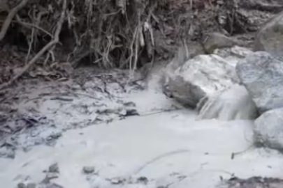 Bursa'da çevre felaketi!