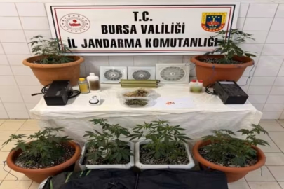 Bursa'da evini bakın ne hale sokmuş...