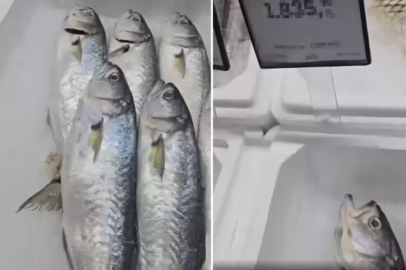 Etiketteki rakam yanlış sandı, aldığı cevapla şaşkınlığı katlandı!