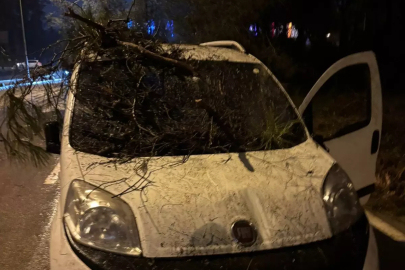 Adana'da devrilen ağacın dalları, seyir halindeki aracın ön camına saplandı