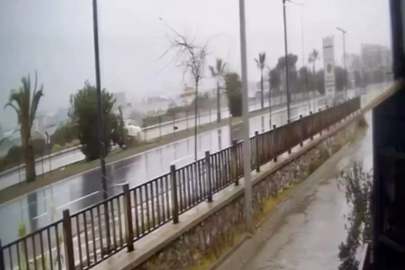 Kontrolden çıkan otomobil refüjdeki ağaca çarpıp takla attı