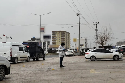 Mardin'de kardeş kavgası kanlı bitti