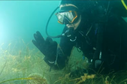 Marmara alarm veriyor: Bilim insanından başkanlara dalış daveti