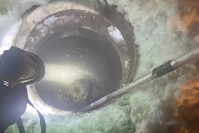Muş'ta kuyuya düşen köpeği itfaiye kurtardı