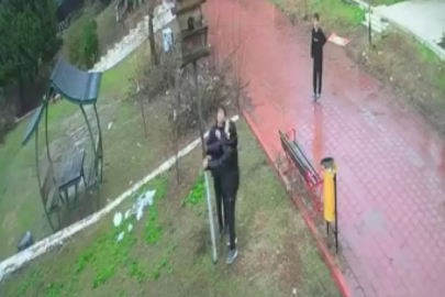 Adana'da çocuklar parktaki kuş yuvasını parçaladı: o anlar kamerada