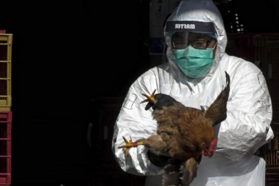 DSÖ verileri uyarıyor! Yeni tehlike kapıda...