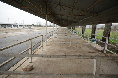 Başkan Ercan Özel Devreye Girdi: Canlı Hayvan Pazarı Yeniden Açılıyor