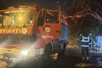 Bodrum'da sağanak; araç dereye kapıldı, evleri su bastı