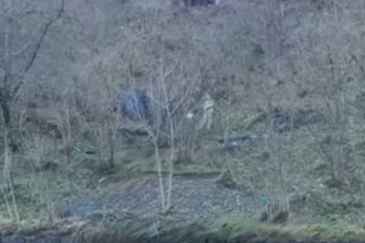 Patpat, fındık bahçesine yuvarlandı! Ölü ve yaralı var...