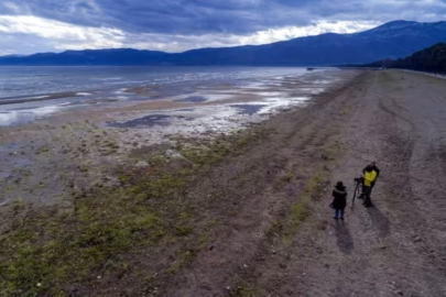 Toplam 50'ye yakın noktada gerçekleştiriliyor! Bursa'daki sayımı başlandı