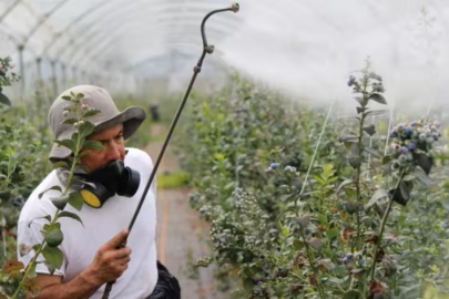 Bursa'da tarımda yeni dönem! Kaydı olmayan üreticiye ilaç satılmayacak...