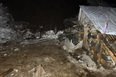 Dev kayalar köye düştü, 30 hayvan telef oldu