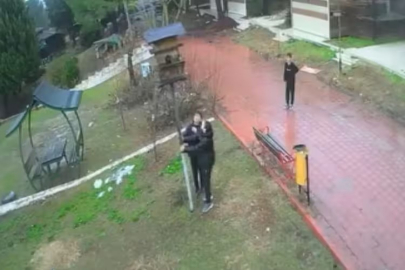 Kuş yuvasını parçalayan çocuklara ev hapsi