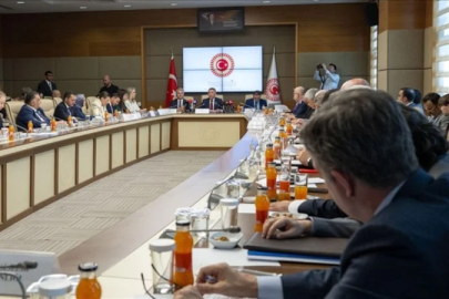TBMM Dışişleri Komisyonu üyeleri, haftaya ABD'yi ziyaret edecek