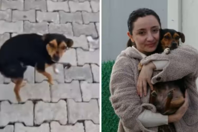 'Anasının tatlısı, anasının ballısı' diye sevilmesi gündem olmuştu! Türkiye, Boncuk'u konuşuyor