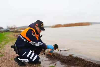 Bursa Jandarmasından kaçak avcılığa geçit yok!